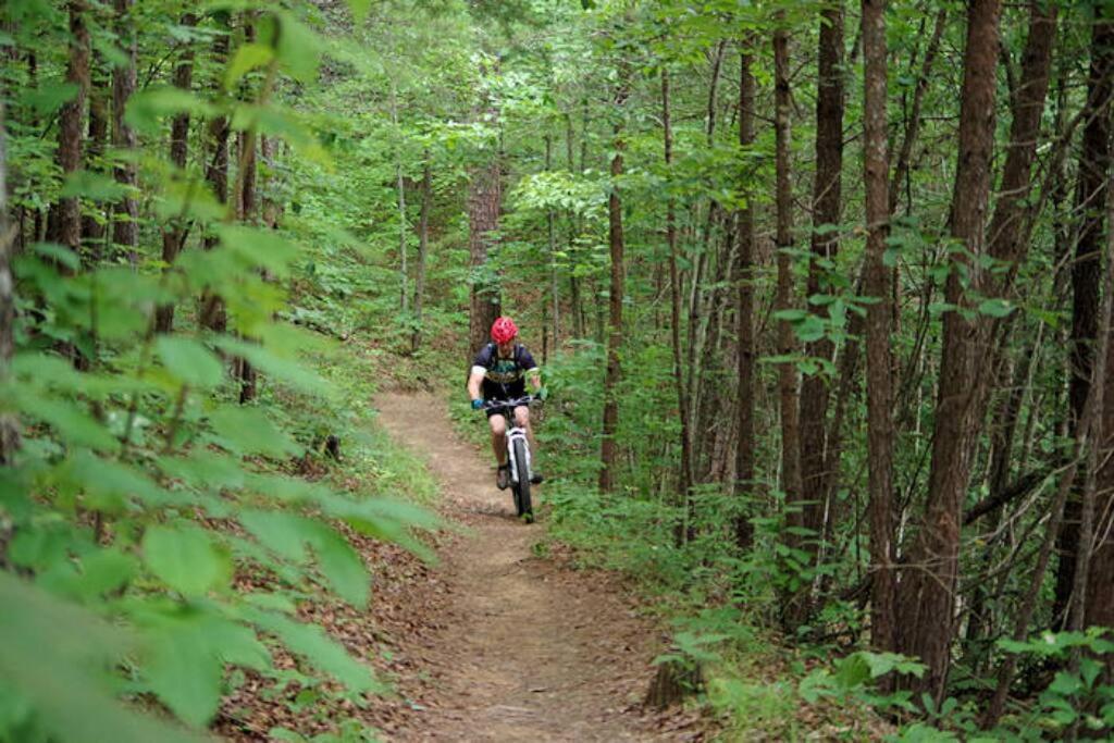 Honeymoon Getaway In Woods Near Noc And Smoky Mtn Rr Villa Bryson City Exterior photo